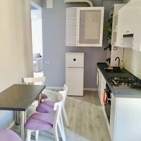 Romantic Panorama Krakivska Street Apartment Lviv