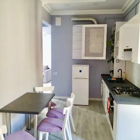 Romantic Panorama Krakivska Street