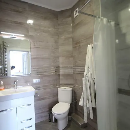 Romantic Panorama Krakivska Street Apartment Lviv